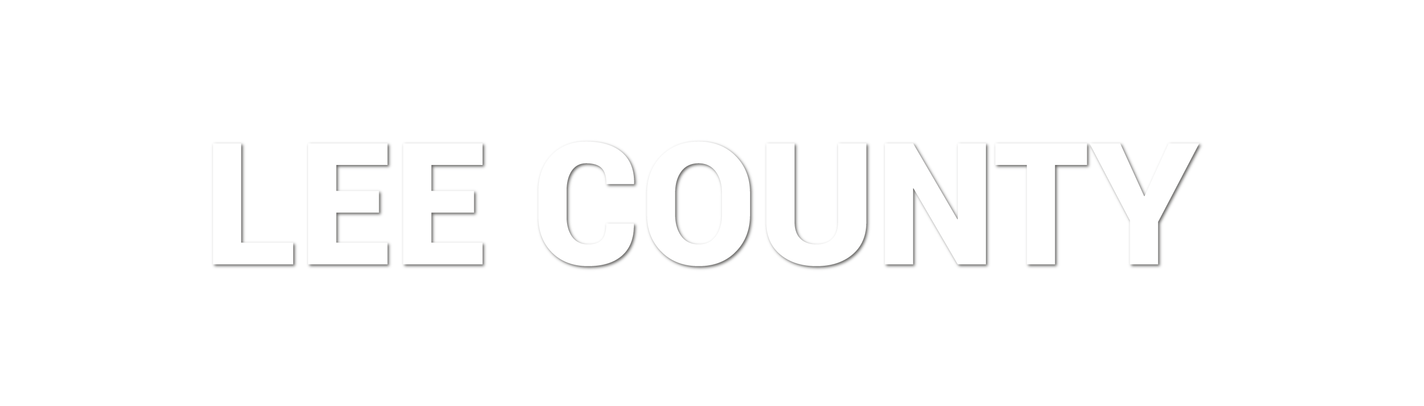 LEE COUNTY LEE COUNTY
